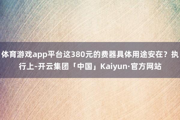 体育游戏app平台这380元的费器具体用途安在？执行上-开云集团「中国」Kaiyun·官方网站