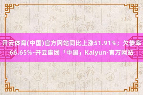 开云体育(中国)官方网站同比上涨51.91%；欠债率66.65%-开云集团「中国」Kaiyun·官方网站