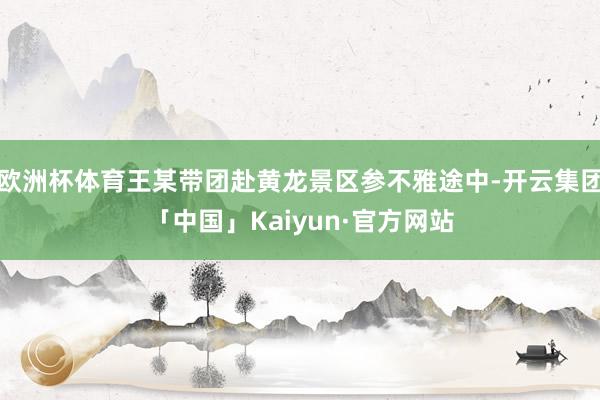 欧洲杯体育王某带团赴黄龙景区参不雅途中-开云集团「中国」Kaiyun·官方网站