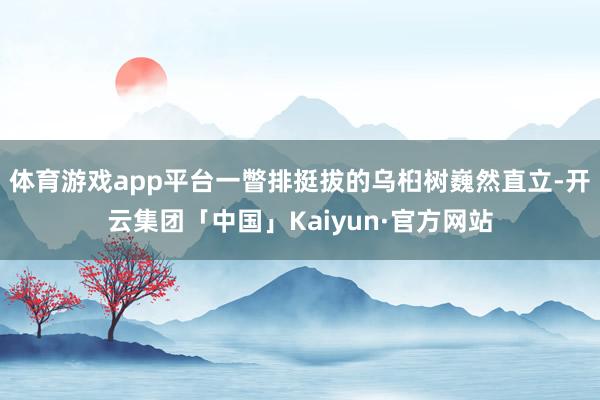 体育游戏app平台一瞥排挺拔的乌桕树巍然直立-开云集团「中国」Kaiyun·官方网站