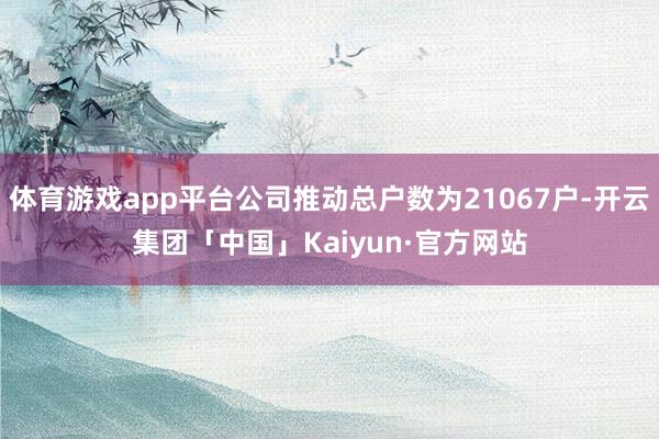 体育游戏app平台公司推动总户数为21067户-开云集团「中国」Kaiyun·官方网站