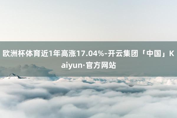 欧洲杯体育近1年高涨17.04%-开云集团「中国」Kaiyun·官方网站