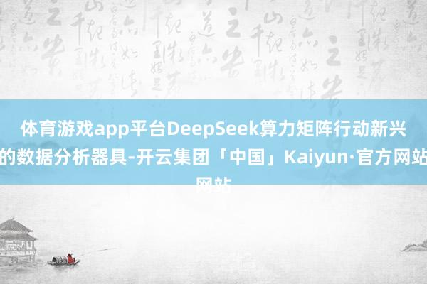 体育游戏app平台DeepSeek算力矩阵行动新兴的数据分析器具-开云集团「中国」Kaiyun·官方网站